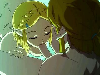 XXX Surprise Visitor - Zelda HENTAI Parody