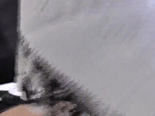 Your Vintage Handkerchief Sniffing Day - Part 1, Lady Victoria Valente