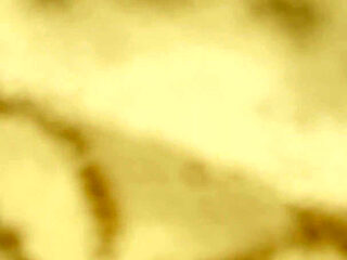 I Fuck My Wife on a Leash