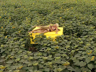 Erotic Palette 02: Yellow Anal Heat