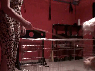 She makes her pet clean his cage